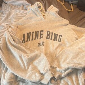 Anine Bing Sport Light Gray Pullover